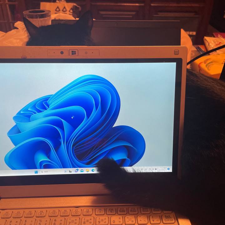 96d565b2 6f0e 4f2d ad36 89e1568ff5a2 1695469582335