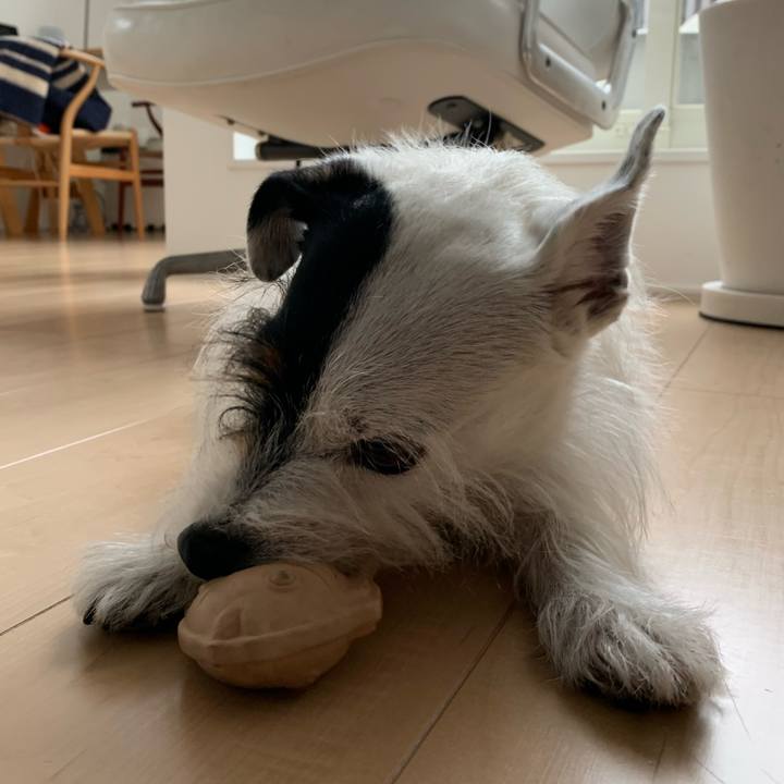 96d56954 dc07 4743 b92f abf467553816 1665623185654