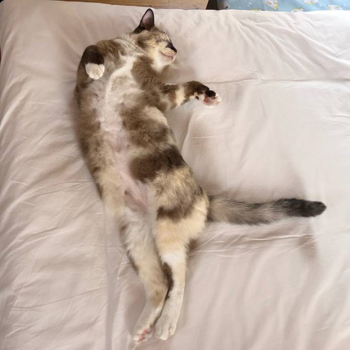 96d57fb1 f4c8 4482 bcd4 ed505845809b 1691503121167