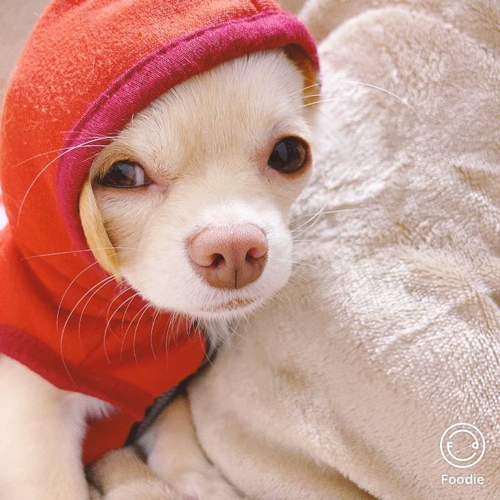 96d583c5 9052 418b bdad 7f0127189544 1607773980255