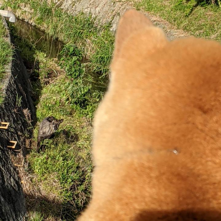 96d58fb3 ac48 459e a230 c1335ff1939a 1620949982488