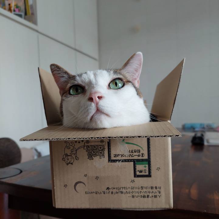 96d5a43b 8a47 4c39 87a8 29af4b17210a 1654216619598