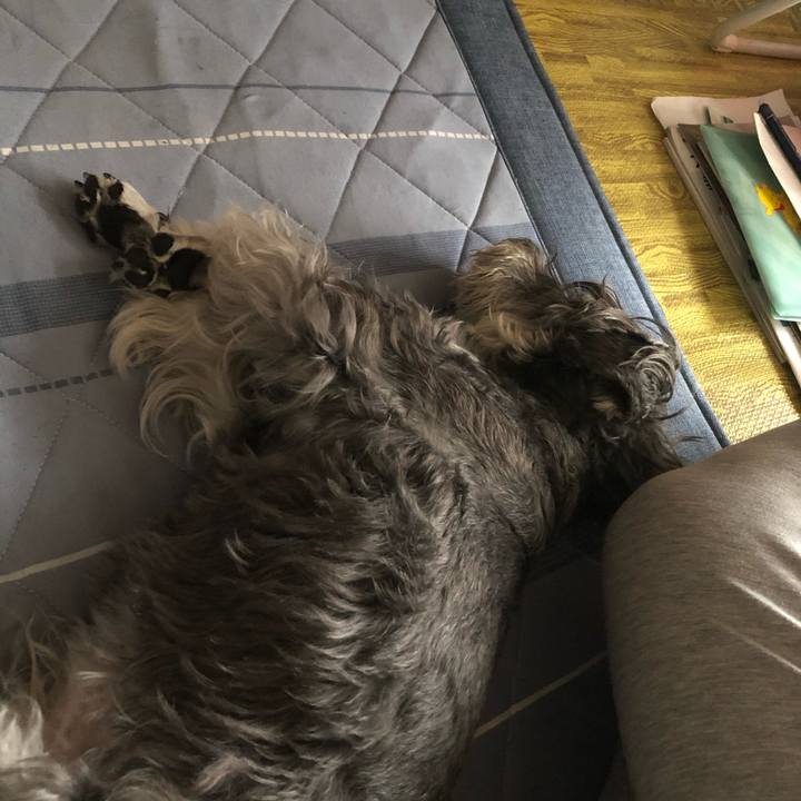 96d5aa26 eb2d 48b1 a250 f5e737e01882 1694990591331