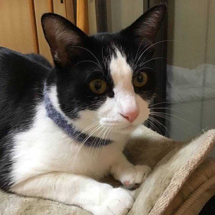 96d5bf15 e2b3 4eeb 8c49 9cf9f4a34490 1668775323845