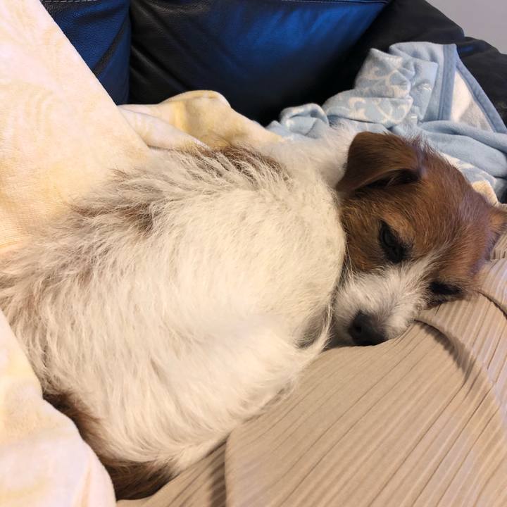 96d6051d 4529 49ff 9cd0 a9280aeb68d6 1578229061151