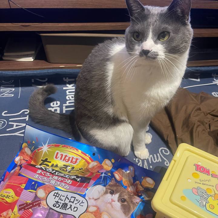 96d62c6f 140e 44a4 bcff 4c18b3c80bdc 1708961008235