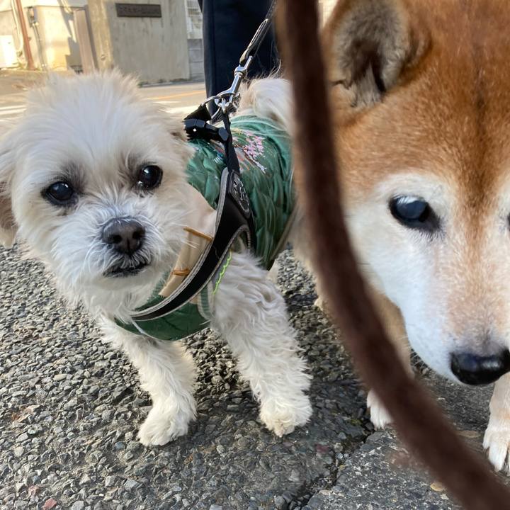 96d62cee 3971 4870 a541 657cf248b564 1711187560143