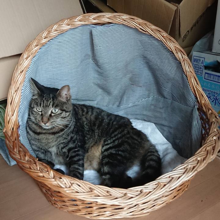 96d634b4 0651 4ec4 84be ddf9f56c6a30 1662595647025