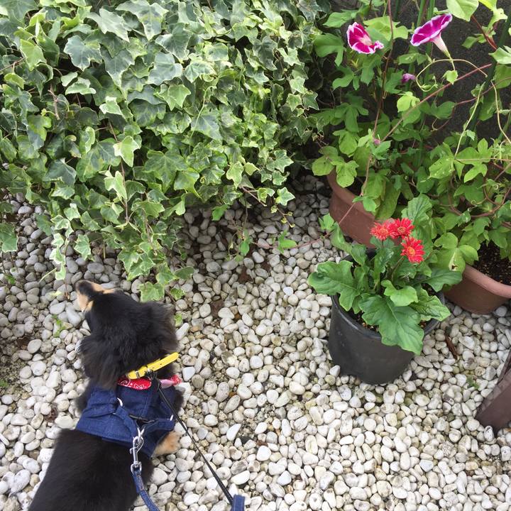 96d63dee ade9 43f4 bfb5 15f06b0259d9 1594858139865