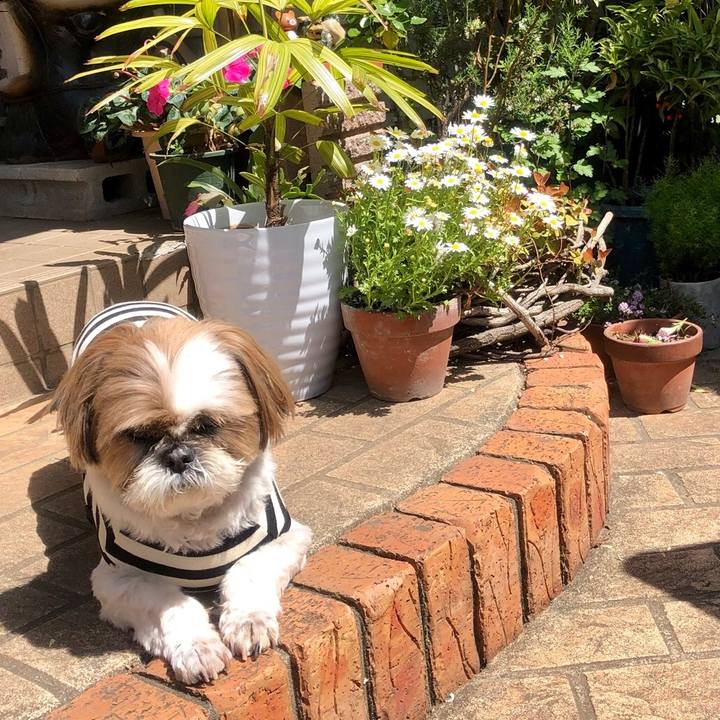 96d6dda0 c792 42f1 9e87 f68688e26b7c 1556853833713