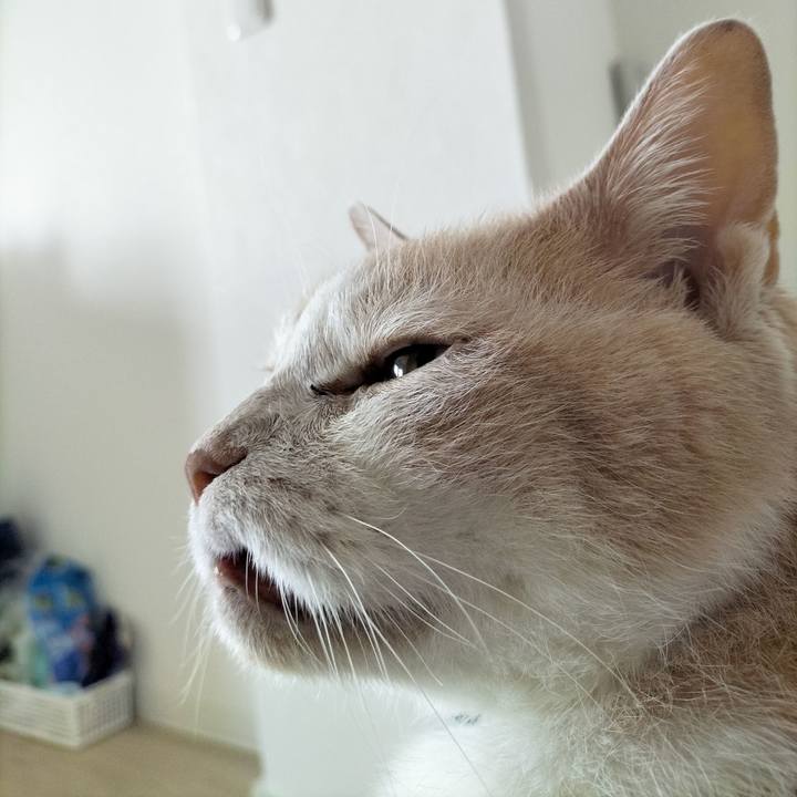 96d6e722 7aa5 4426 890f 5919855c4301 1682119707849