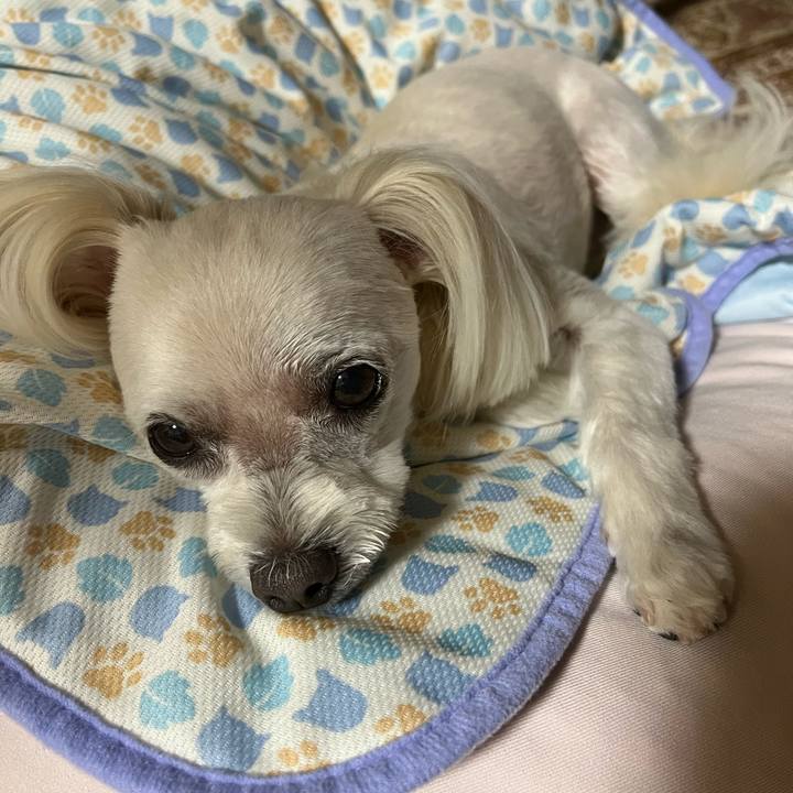 96d6ecc5 0c31 4903 b818 ac52532cfda8 1689939344113