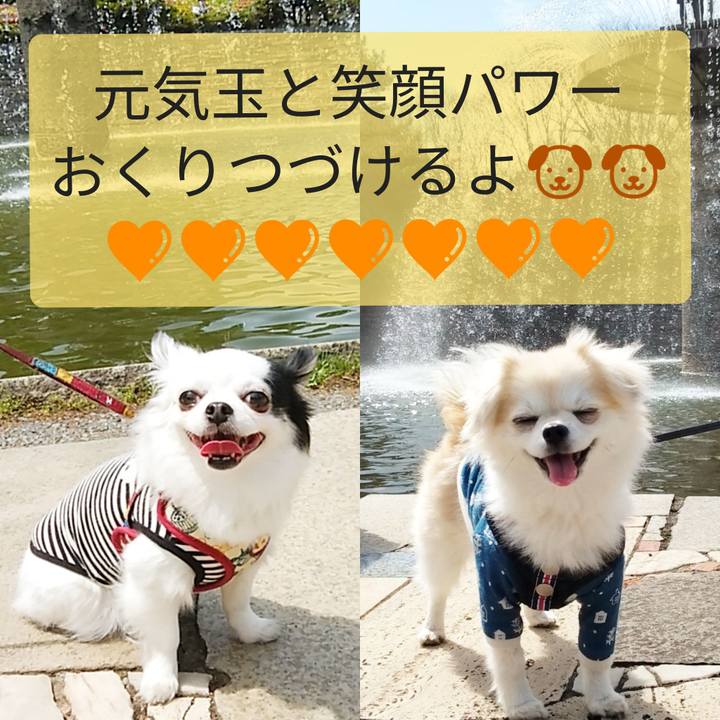 96d724cd 4071 4303 bf71 5b6a959eadcb 1674264500429