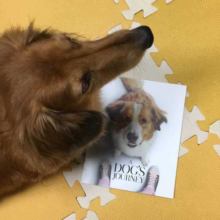 96d78a55 7588 464a 8cdf 525fe3510d8b 1568556886791