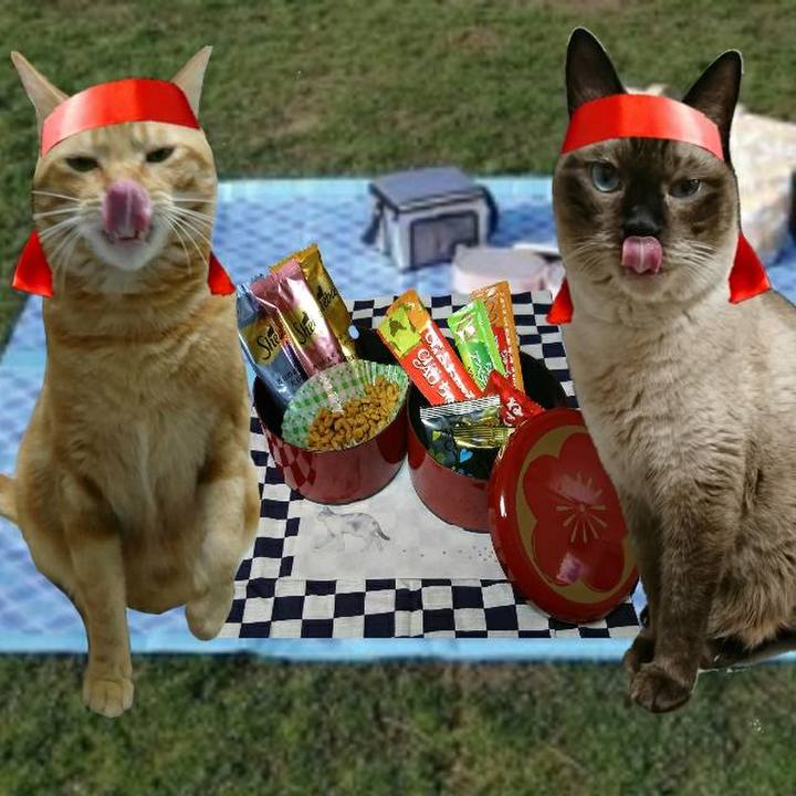 96d7c75a 9b36 4f72 92ae 54404eae1a52 1539433031343