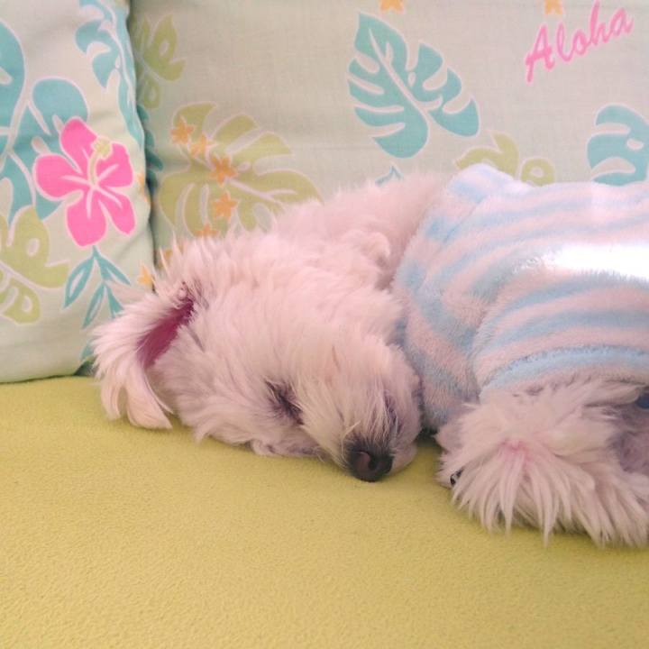 96d7cd46 6b47 49ac a67b abf860424ece 1519455236967