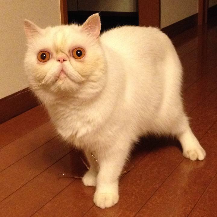 96d7ee0d 0109 4f30 9d8b df85a808136b 1513174388539