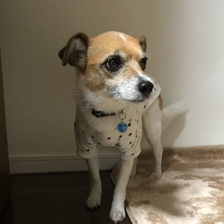 96d825f9 749a 4cc8 99d4 3211746ca0f7 1554289222088