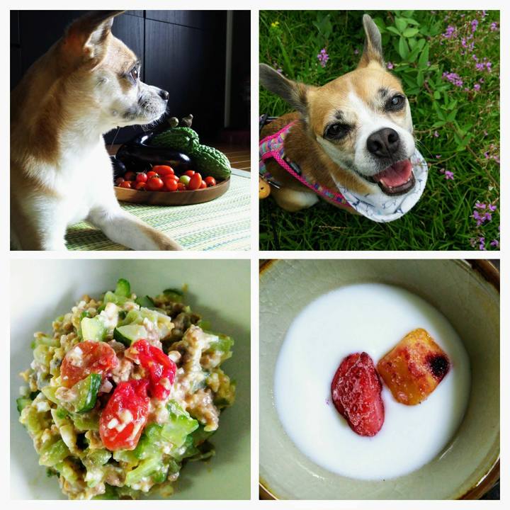 96d8437a 11e9 4e94 8e43 49f41d638e87 1599985464046