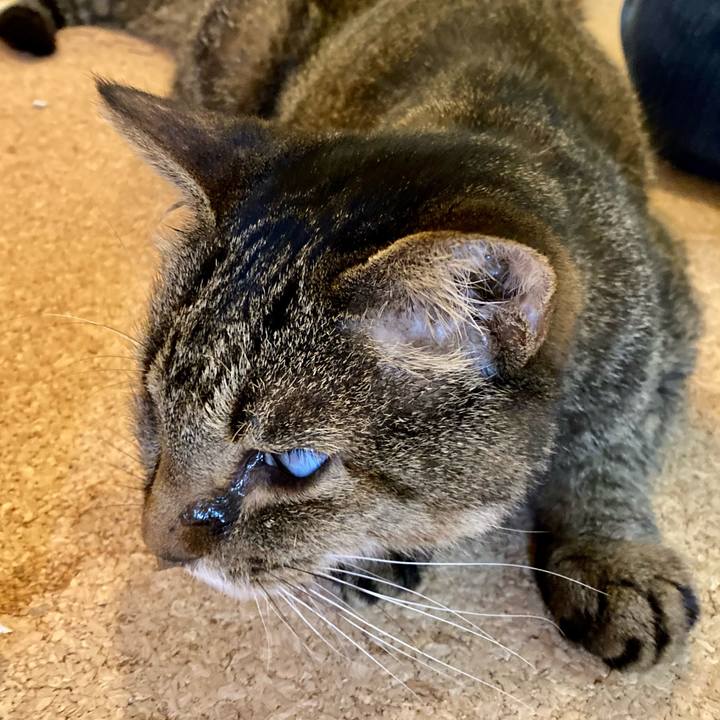 96d8597a 5122 4f42 8eef bd22b9d35674 1686345382171