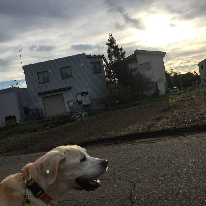 96d88b13 2075 456e 869e 373dc24ed15a 1536703794504