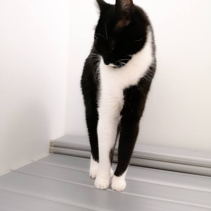 96d8d02a 0452 4fdd ba41 bd4e837a524e 1546014609711