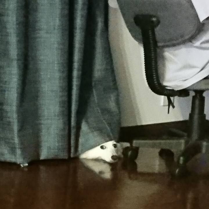 96d8f56d 9bfe 4434 81fb c7b3aa5301e0 1530536044574