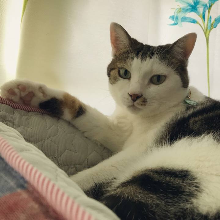 96d8f6d3 e8ef 4543 982a 8cbc8907d0f4 1537675754184