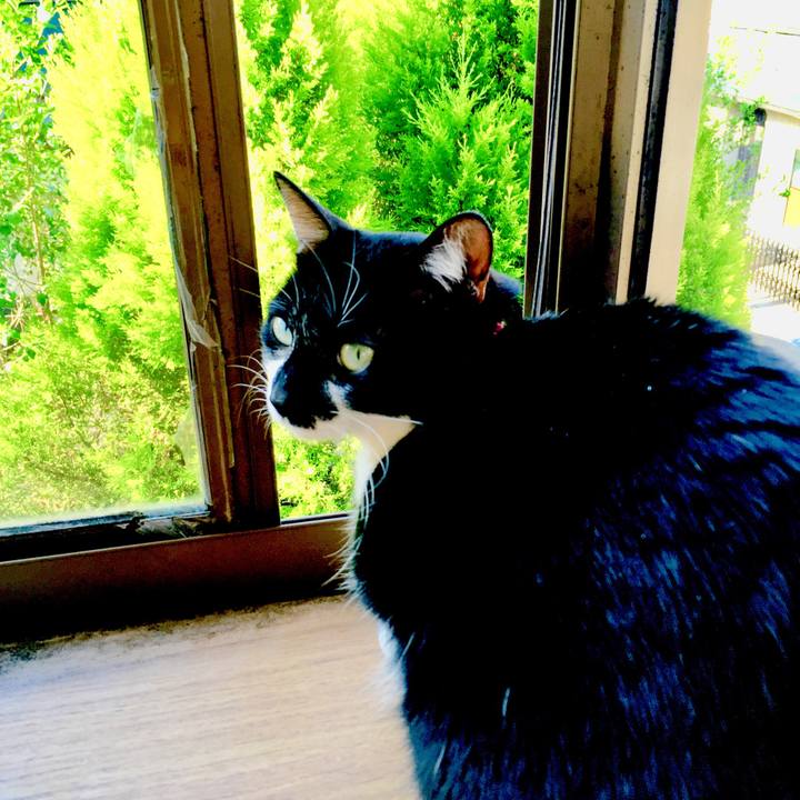 96d92076 fbb6 4596 83ea 2971c28fed34 1525401309714