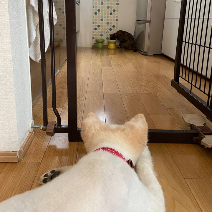 96d9450c e761 40c4 8663 2237c7b4fedf 1660312363538