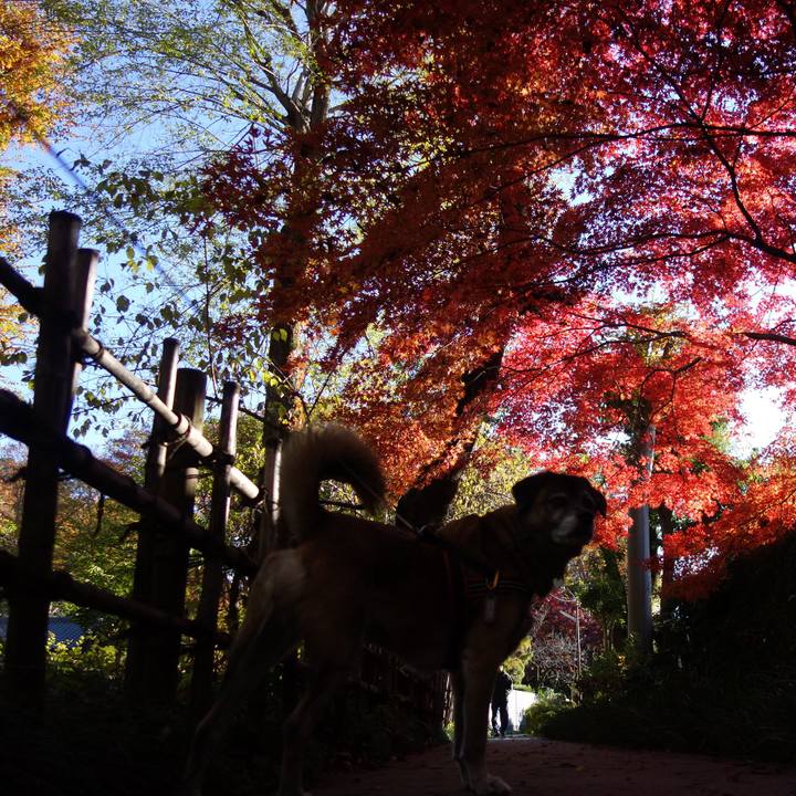 96d95167 4e35 44d3 b474 f38486622f32 1621814091125