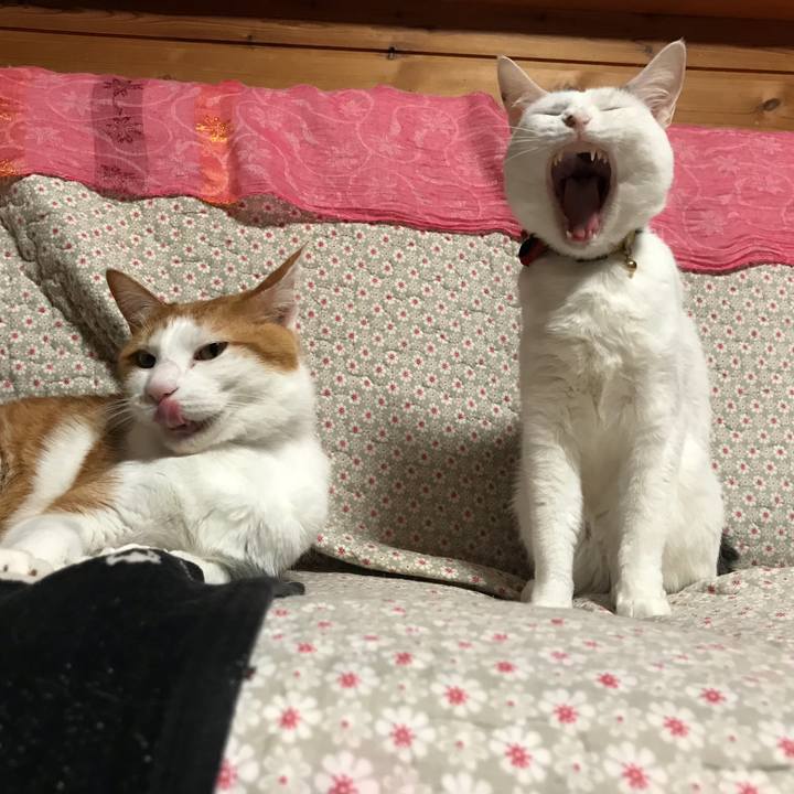 96d969a7 12e9 431a bf0e 6faa7eb88f34 1526302694361