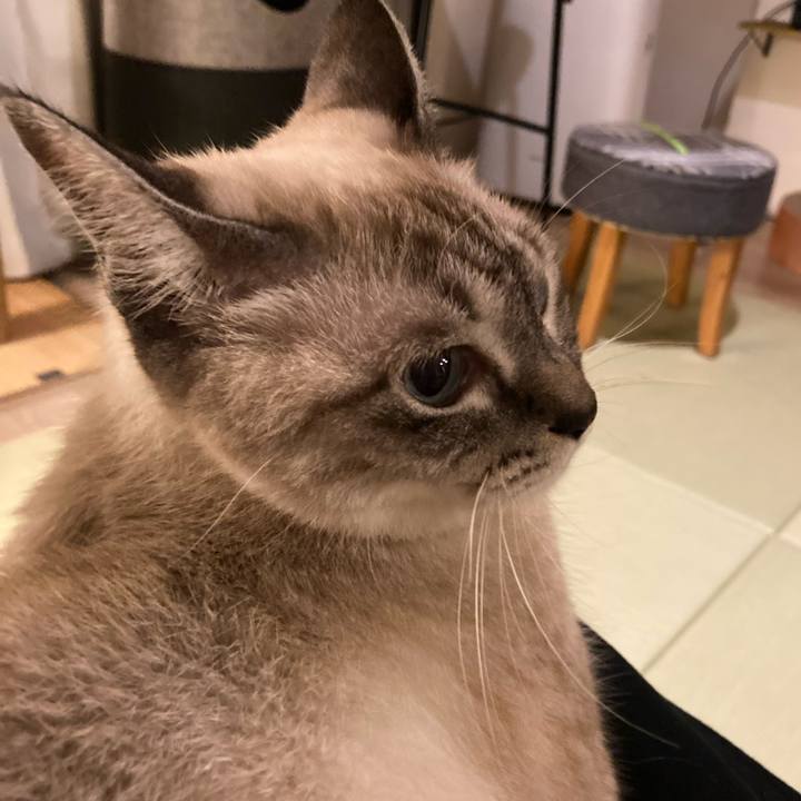 96d99fb0 f051 4b23 8a5c 893e94151fc3 1666431518629