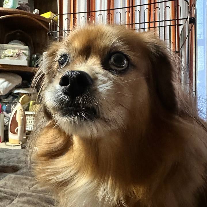 96d9bdfa 7ff9 4366 a2a2 24d1f1713743 1763587546619