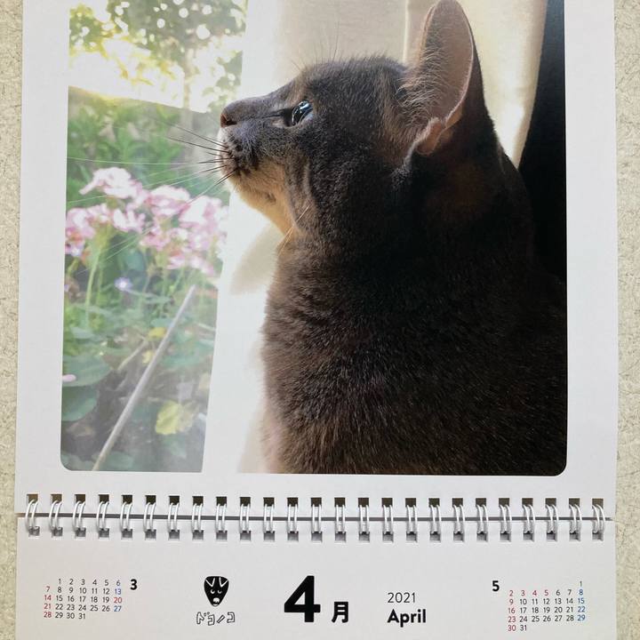 96d9d4aa 97f5 4425 b6e6 d0c4e9f2ed60 1617512039222