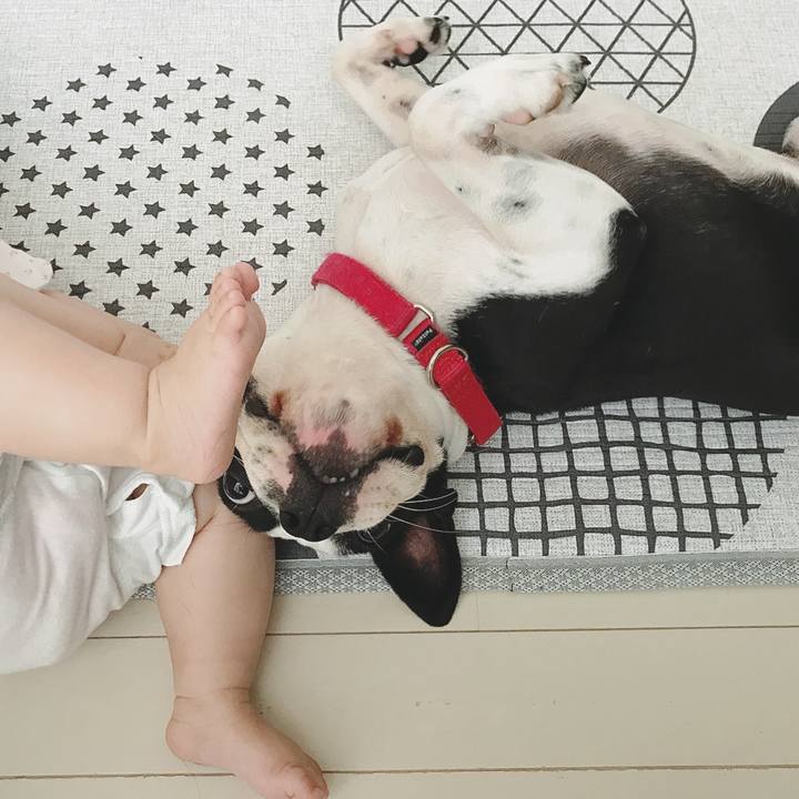 96d9d5da ef79 4a5b a1bd 875e06f48bc9 1527984378893