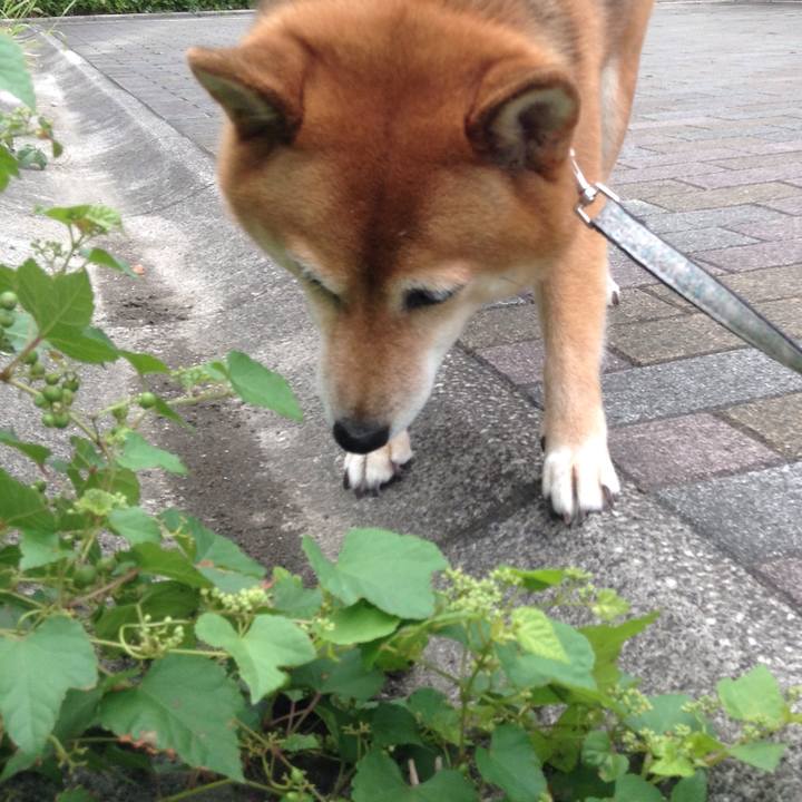 96d9d8ae 644f 46ff 8652 3b59b07ebad6 1535449052891