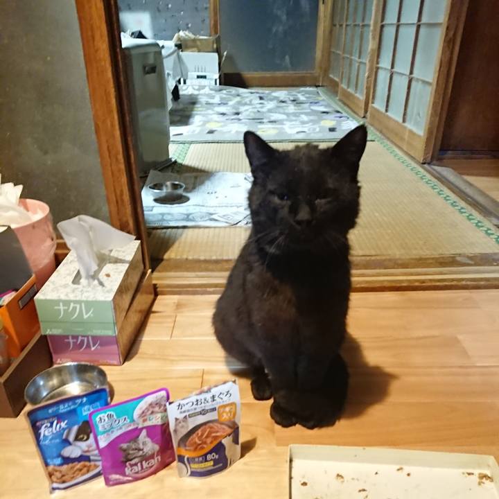 96da1961 0e1c 4bff 8673 116315c82629 1622985730366