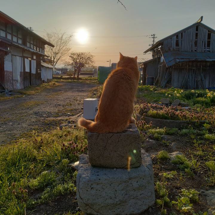 96da22f3 2fc9 4ac6 a6cf b600ef96508b 1682717142536