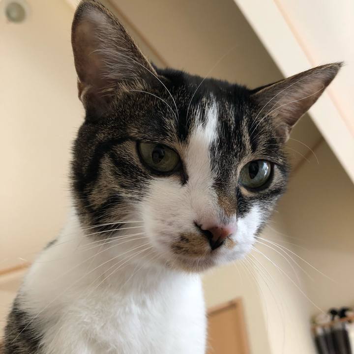 96da55da 2839 429b 9ec4 48fb3b048a65 1521000027651