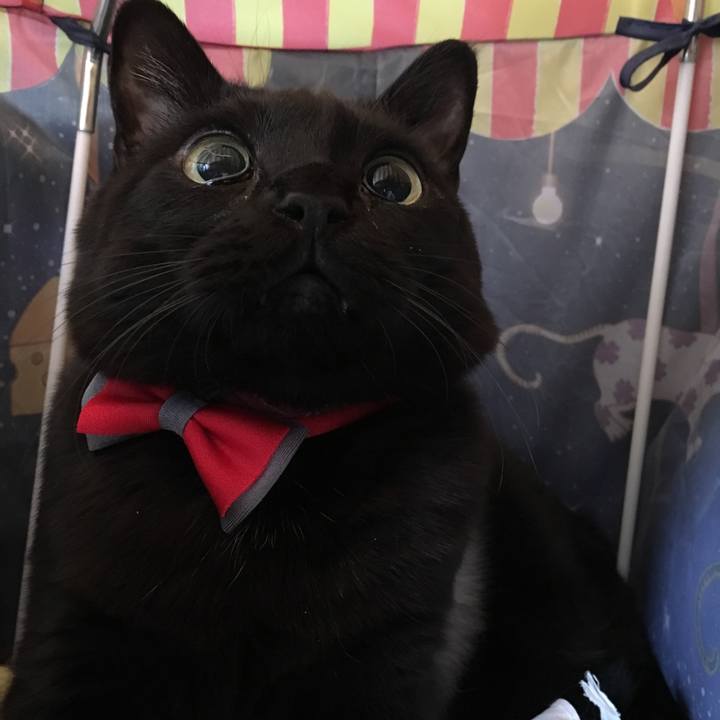 96da65be 7d7e 4782 9889 3f6de1dcec3e 1548810430878