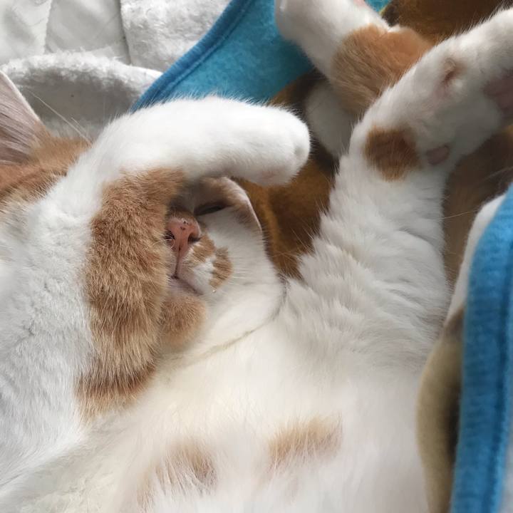 96da8fdd 4945 4573 bfe5 209b8fc32565 1600661090976