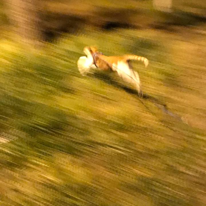 96db1ae1 1587 4017 9542 40ca2d9dbddc 1513776808930