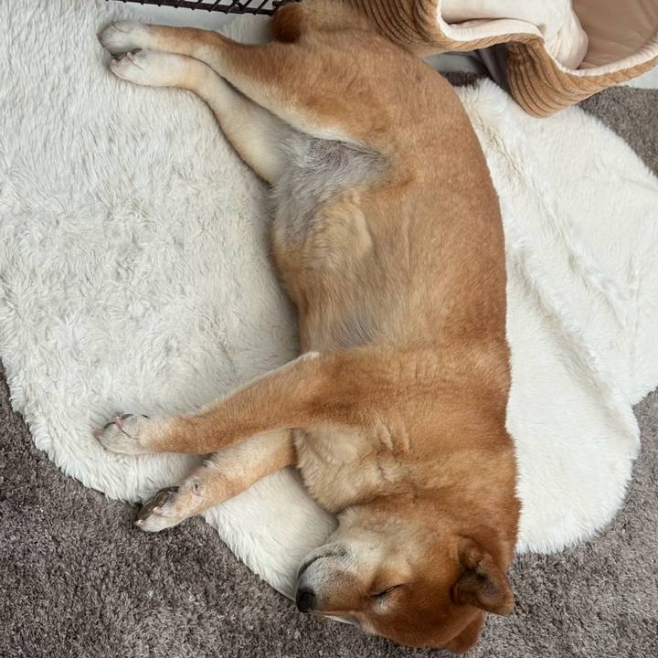 96db1bda 9ed7 43f8 9231 6aeac5f9cc90 1770957076270