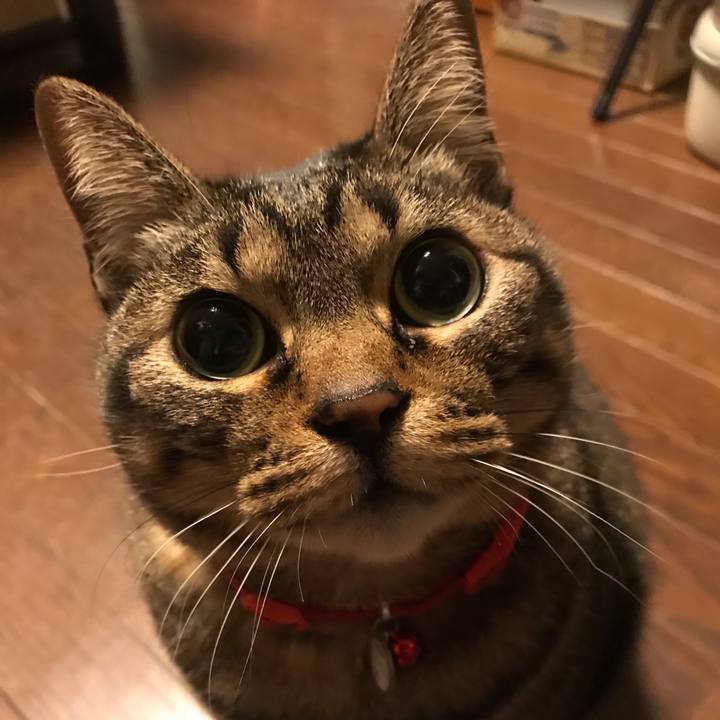 96db3e0d 13cc 4fb4 8147 cdb07898d344 1613913858114