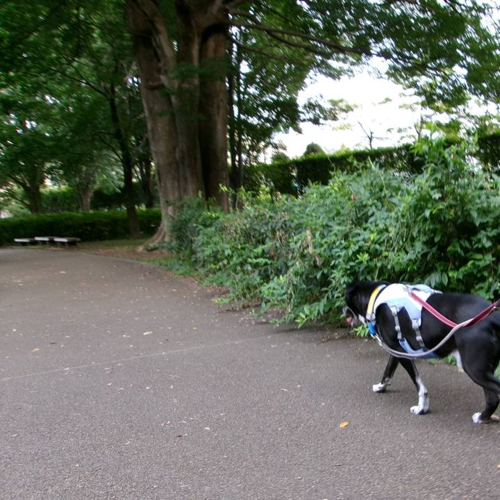 96db5ccc c5d5 4bb7 9640 a4c51956842c 1754181087293