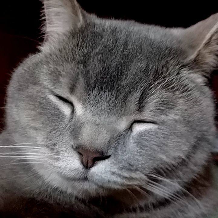 96db7230 e2ab 4d53 a711 f53a57260bc7 1525601377963