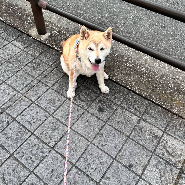 96dba5a4 68d6 4159 8030 39a0f477e9df 1751670429041