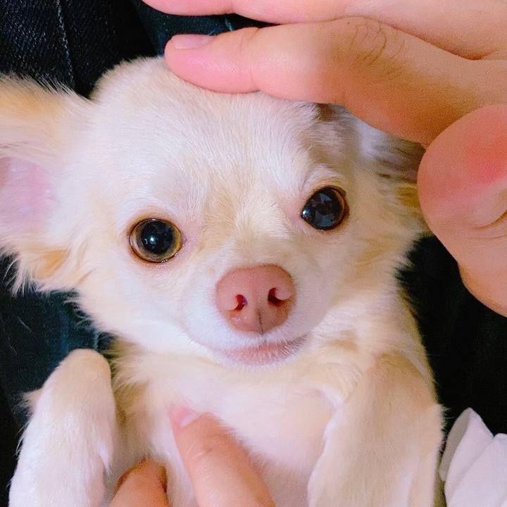 96dc0383 5457 4d7f 8ea0 225c37259870 1630312057792