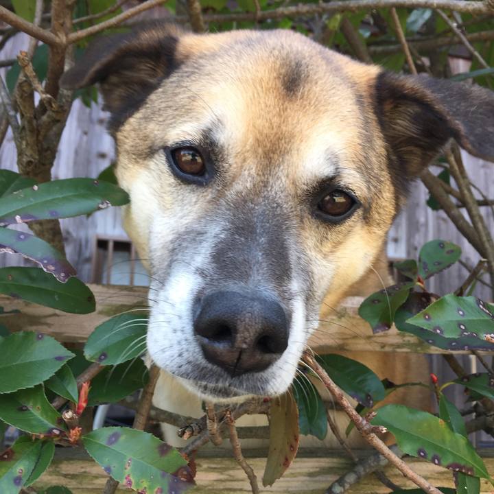 96dc3e64 641f 426c b530 0f448db2a664 1520983182136